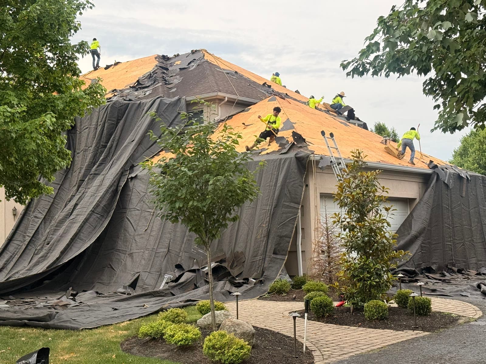 Crew on tarped roof, fresh decking — Green Apple Roofing, New Jersey