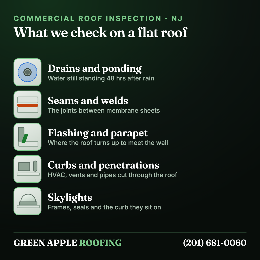 The five zones a commercial roof inspection covers, each with a diagram of the detail — drains and ponding, seams and welds between membrane sheets, flashing where the roof meets the parapet wall, curbs and penetrations for HVAC and vent pipes, and skylights