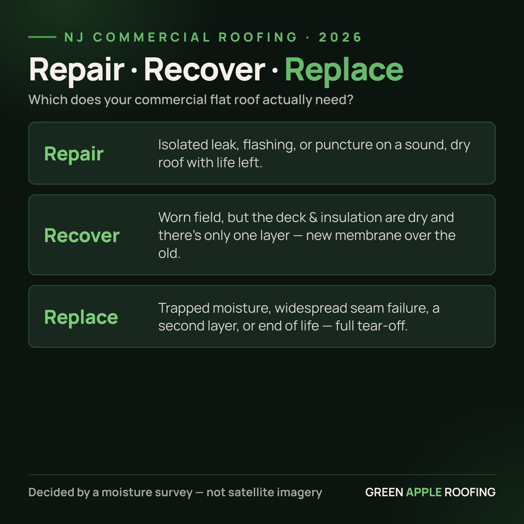 Infographic comparing repair, recover, and replace for a commercial flat roof in New Jersey — when each option is the right call