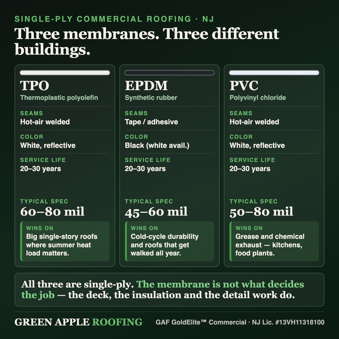 Comparison card showing TPO, EPDM and PVC single-ply membranes side by side with their seam method, color, service life, typical thickness and the building type each one suits best
