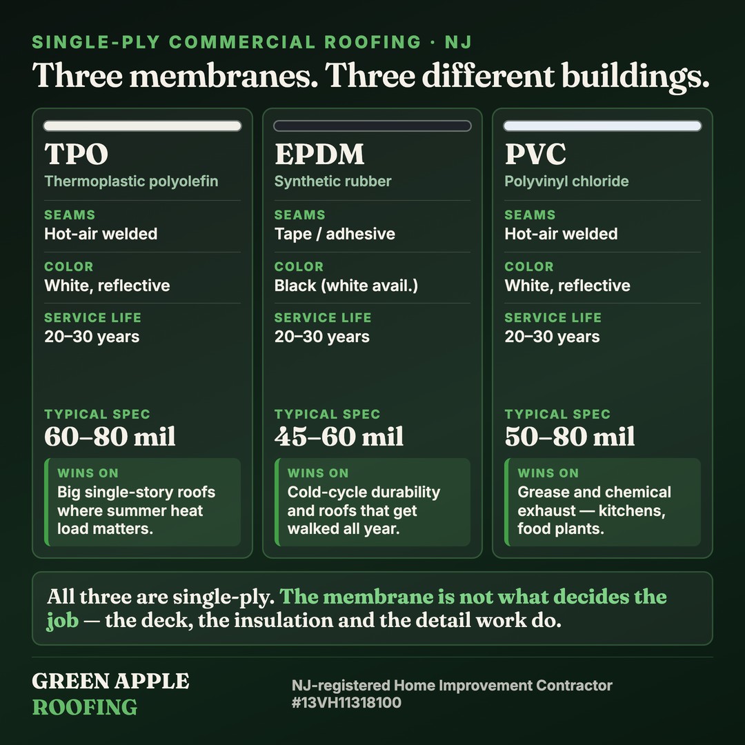 Comparison card showing TPO, EPDM and PVC single-ply membranes side by side with their seam method, color, service life, typical thickness and the building type each one suits best